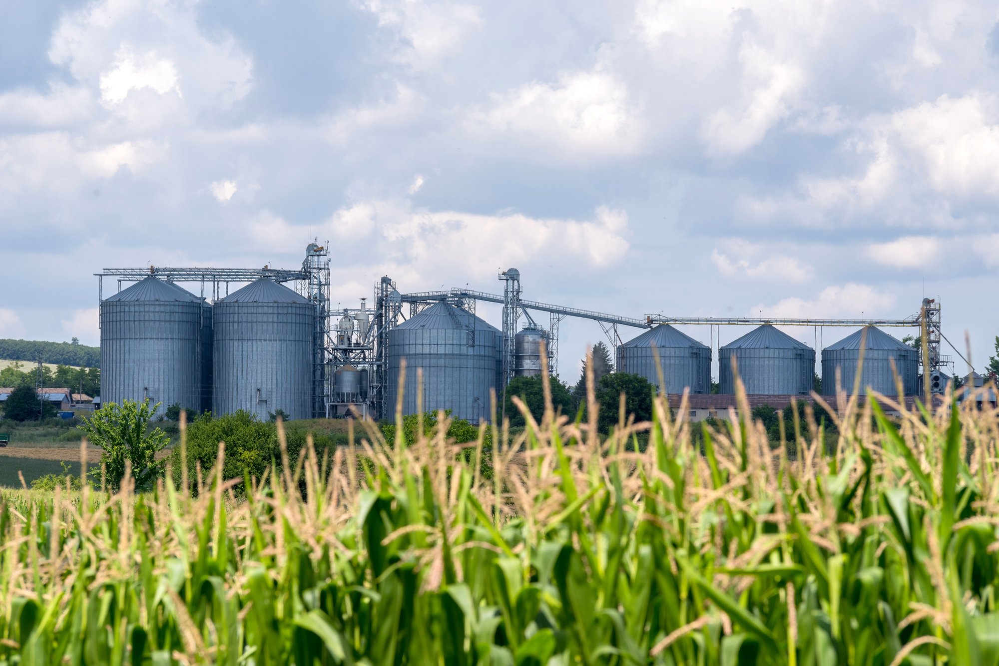 Grain silos behind a corn field, representing commodity storage and supply